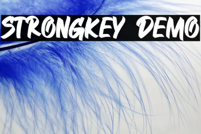 STRONGKEY DEMO Example 2