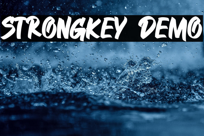 STRONGKEY DEMO Example 3