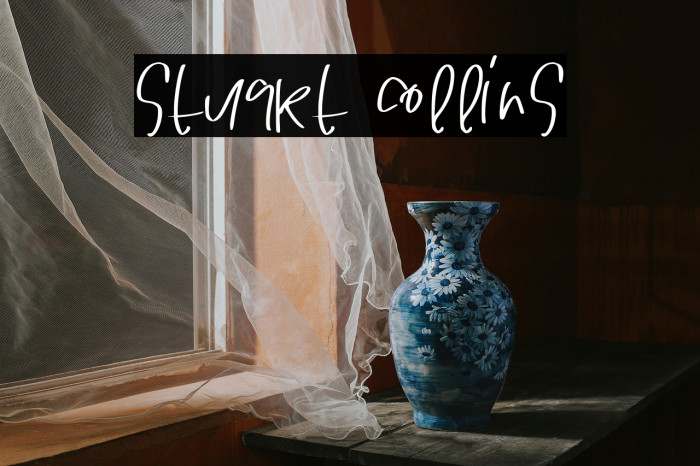 STUART COLLINS Example 2