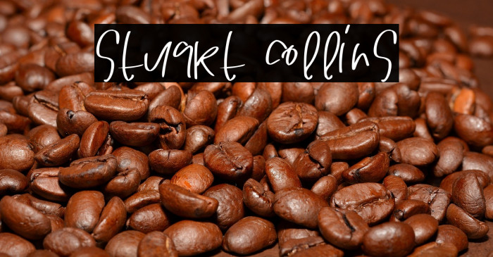 STUART COLLINS Example 3