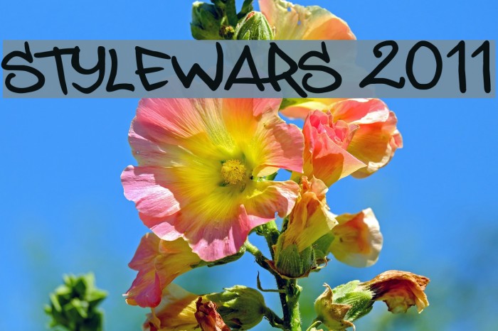 STYLEWARS 2011 Font examples