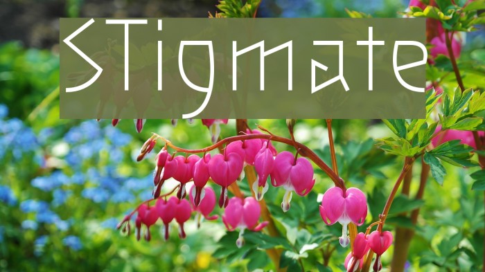 STigmate Font examples