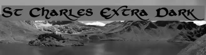 St Charles Extra Dark Polices examples