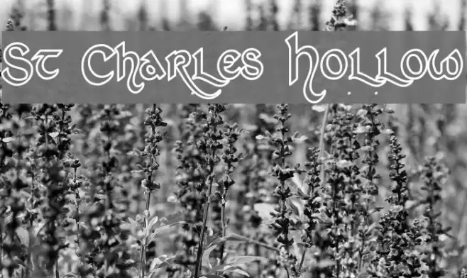 St Charles Hollow Font examples