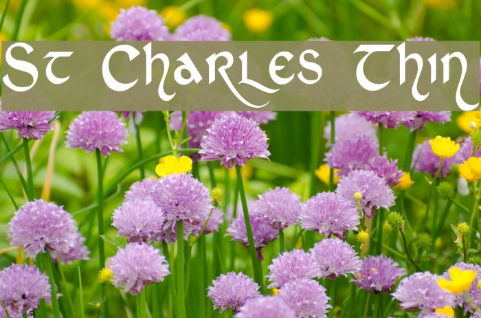 St Charles Thin Font examples