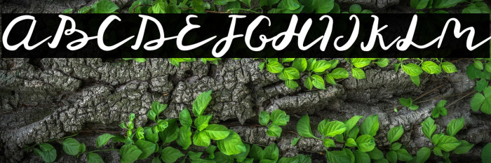 St Maknyus Example 1