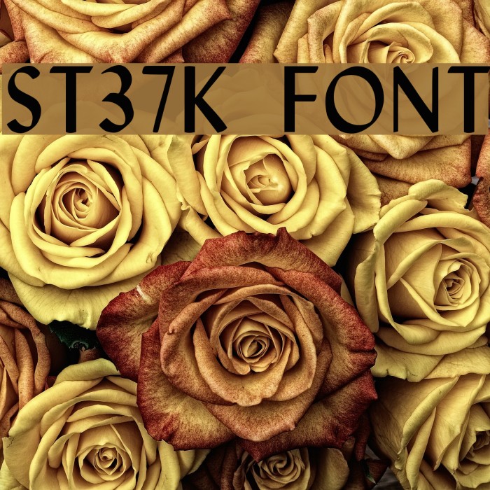 St37k Font examples