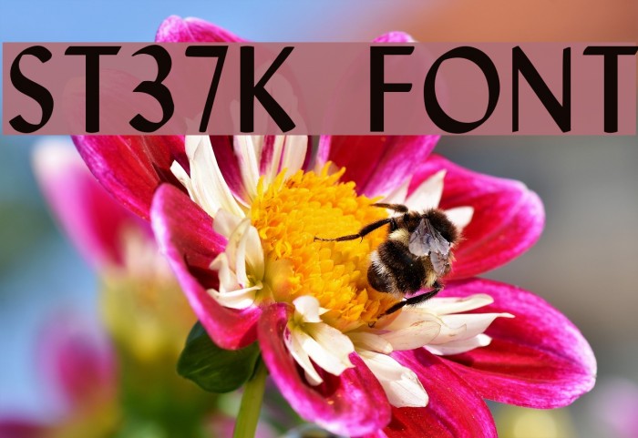 St37k Font examples