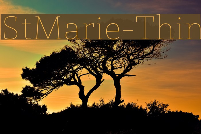 StMarie-Thin Example 2