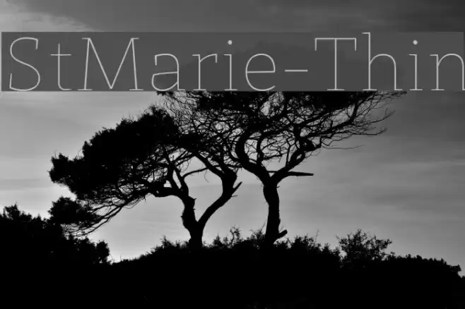 StMarie-Thin Font examples