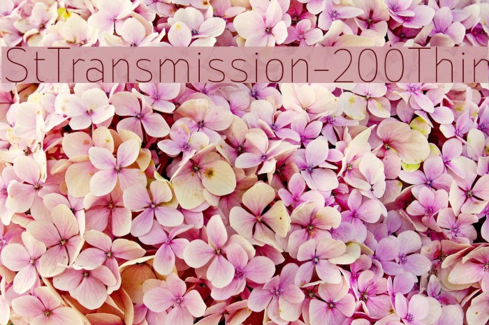 StTransmission-200Thin Example 1