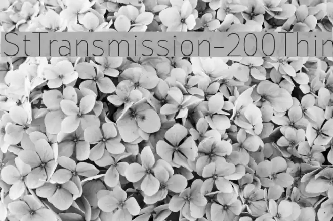 StTransmission-200Thin Font examples