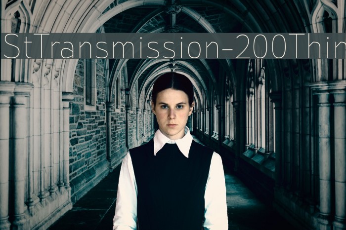 StTransmission-200Thin Example 3