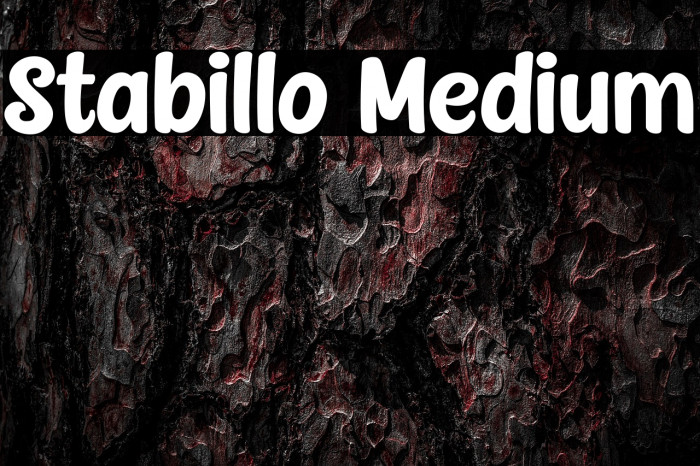 Stabillo Medium Example 1