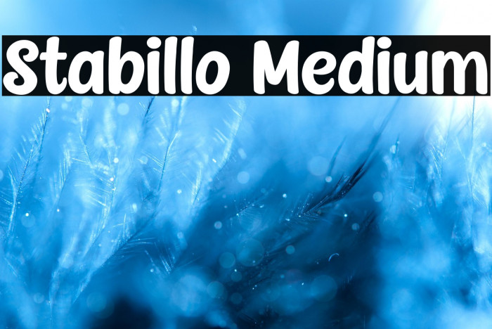 Stabillo Medium Example 2