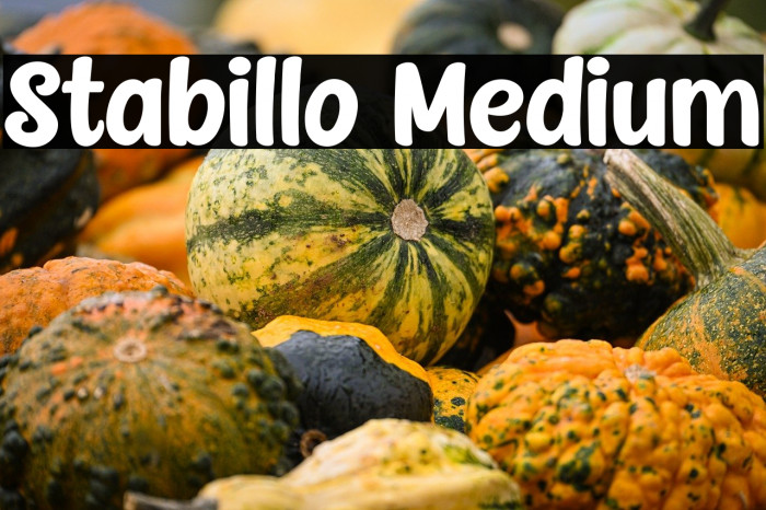 Stabillo Medium Example 3