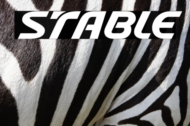 Stable Example 2