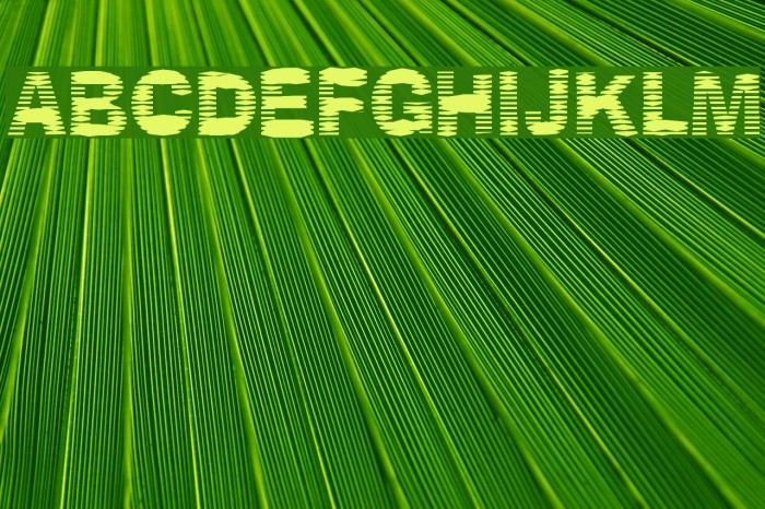 Stackz Font examples