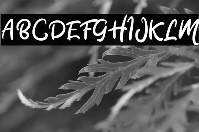 Stacylia DEMO-Regular Font examples