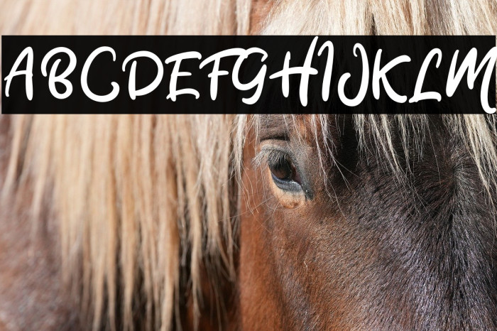 Stacylia DEMO-Regular Example 3