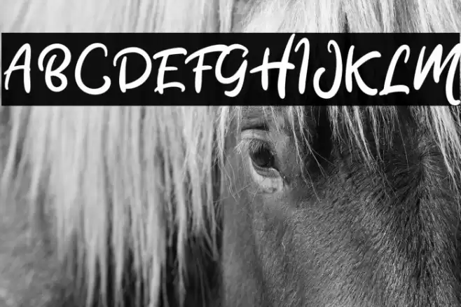 Stacylia DEMO-Regular Font examples