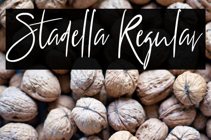 Stadella Regular Example 1