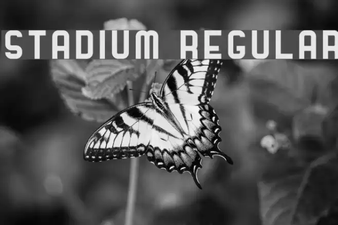 Stadium Regular Font examples