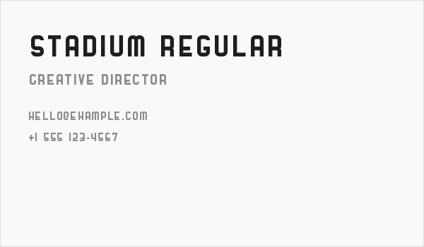 Stadium Regular Business Card