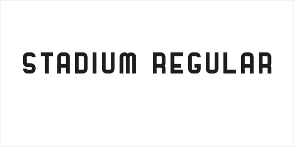Stadium Regular Logo