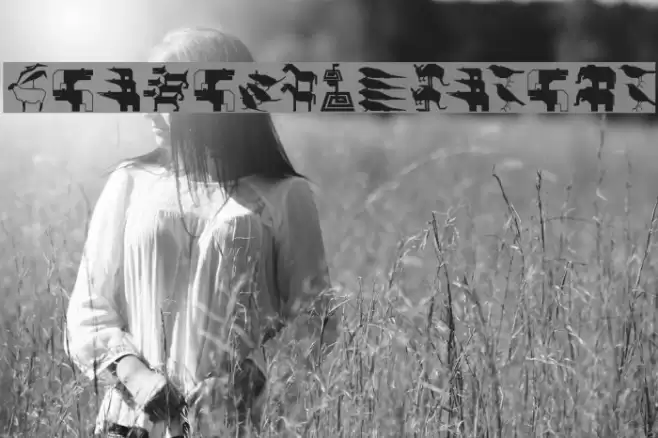 Stadtmusikanten Caratteri examples