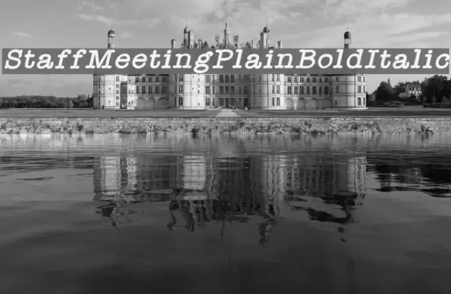 StaffMeetingPlainBoldItalic Font examples