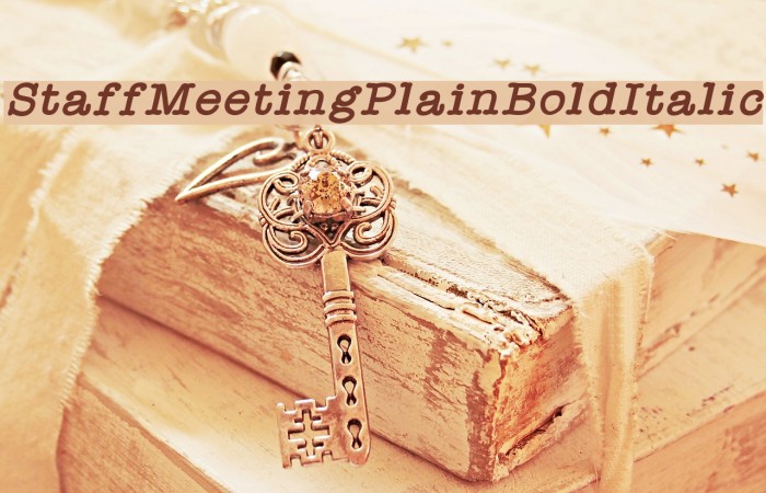 StaffMeetingPlainBoldItalic Schriftart examples