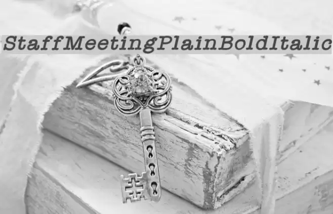 StaffMeetingPlainBoldItalic Font examples