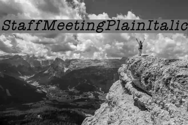 StaffMeetingPlainItalic Font examples