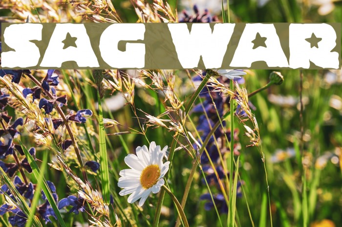 Stag Wart Font examples