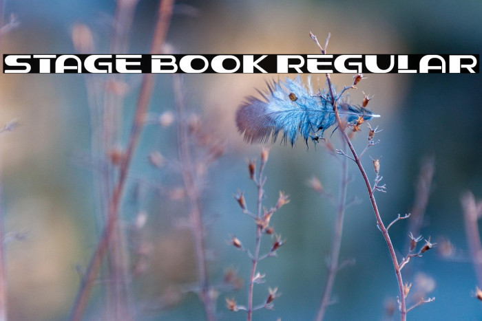 Stage Book Regular Example 1