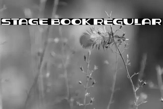 Stage Book Regular Font examples