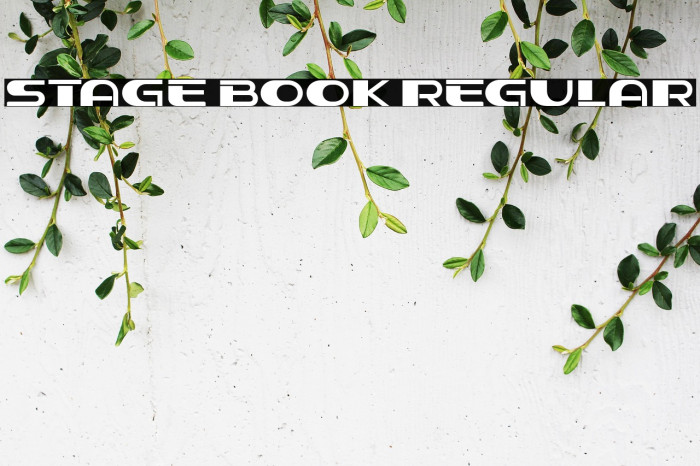 Stage Book Regular Example 3