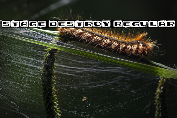 Stage Destroy Regular Example 1