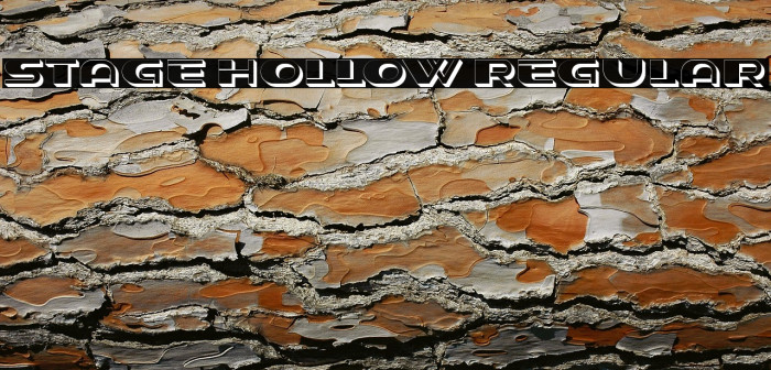 Stage Hollow Regular Example 2