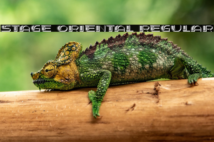 Stage Oriental Regular Example 1