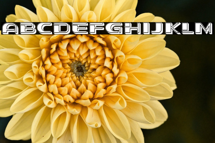 Stage Regular Example 1