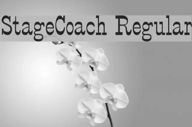 StageCoach Regular フォント examples