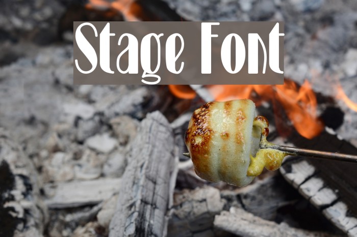 Stage Caratteri examples
