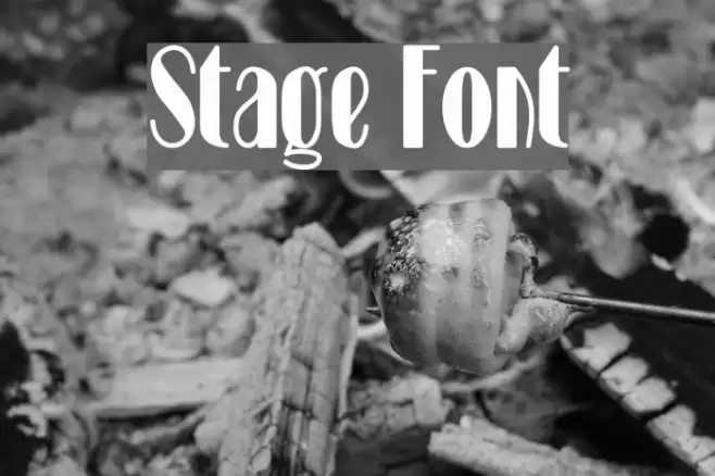 Stage Caratteri examples