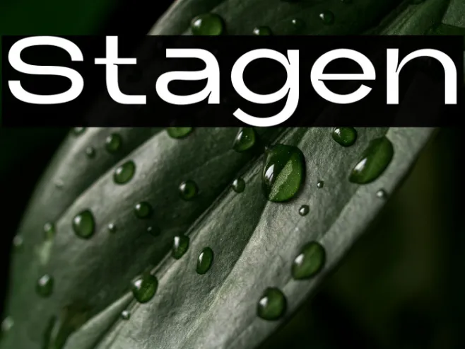 Stagen Example 1