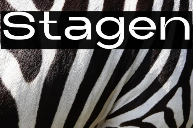 Stagen Example 3