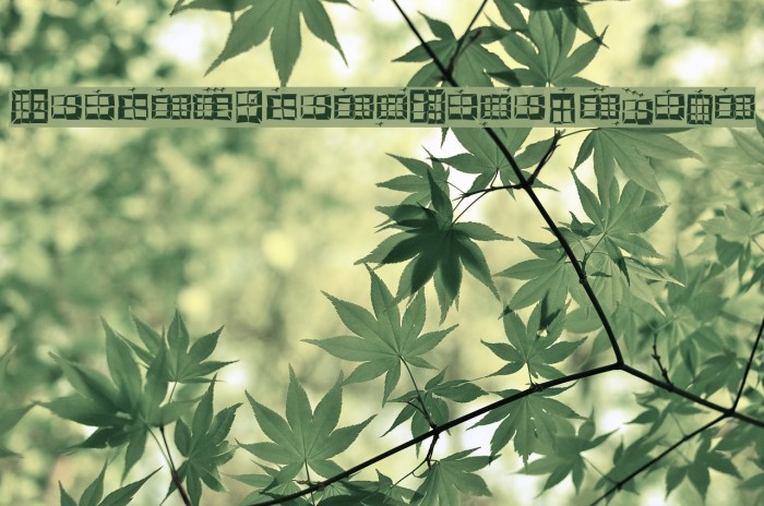 StagesAfterEarthquake Font examples