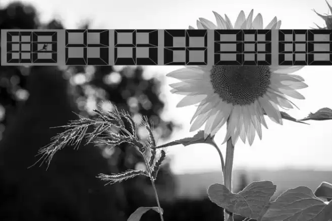 Stages Font examples