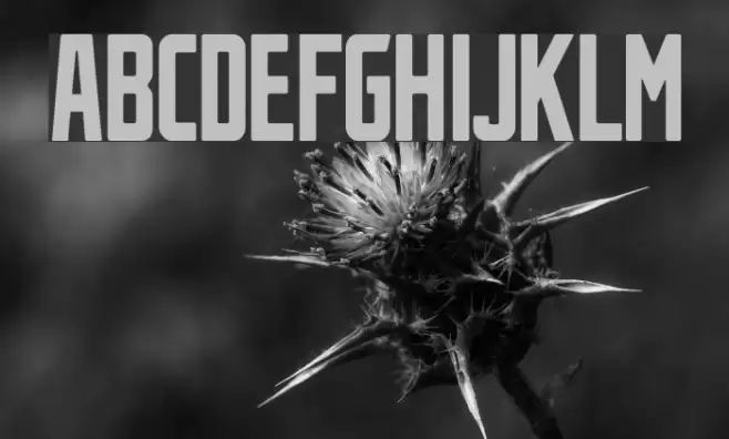 StahlbetontrŠger-Compressed Font examples